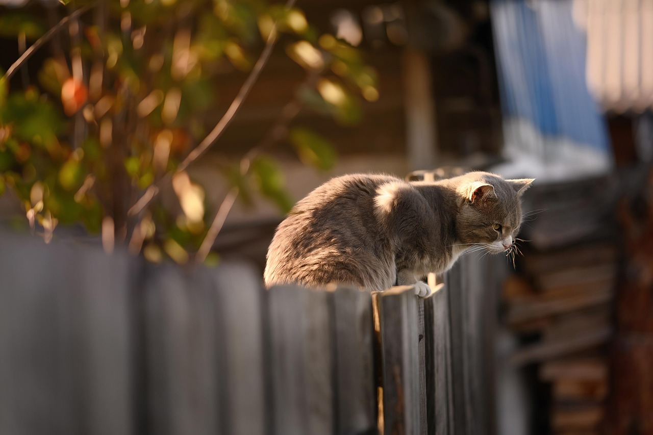 How to Choose a Fence for an Edmond Yard
