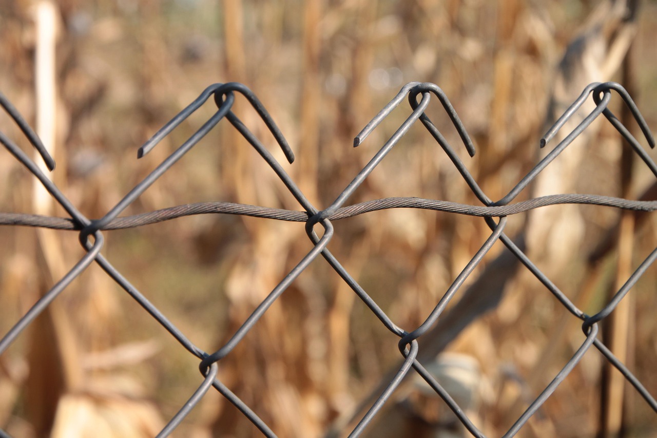 Galvanized vs Powder-Coated Metal Fences